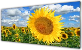 Panel Szklany do Kuchni Złoty Słonecznik pod Niebem