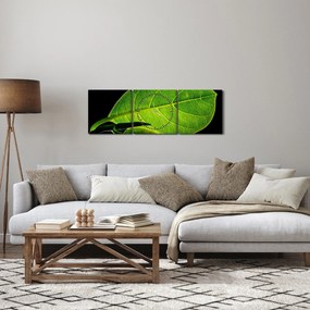 Obraz - zielony liść (z zegarem) (90x30 cm)
