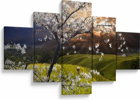 Obraz - Kwitnące drzewo w krajobrazie (125x70 cm)