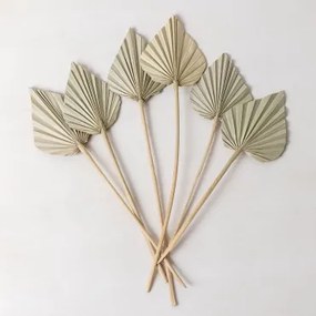 Zestaw 6 Ozdobnych Suszonych Gałązek Beliefe Bamboo Green - Sklum