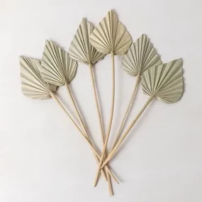 Zestaw 6 Ozdobnych Suszonych Gałązek Beliefe Bamboo Green - Sklum