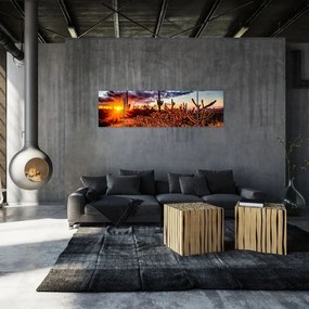 Obraz - Złota godzina pustyni (170x50 cm)
