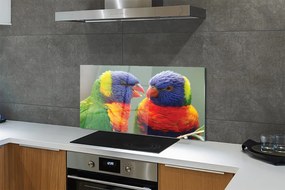 Panel szklany do Kuchni Barwny Świat Egzotycznych Ptaków