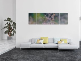 Obraz - Szczegół trawy (170x50 cm)