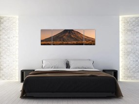 Obraz odbicia góry Taranaki, Nowa Zelandia (170x50 cm)