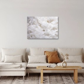 Obraz - Białe pióra (70x50 cm)