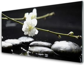 Panel Szklany do Kuchni Kwitnąca Gałązka Jabłoni