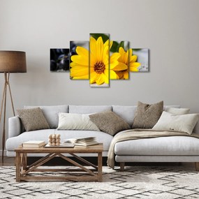 Obraz żółtych kwiatów (125x70 cm)