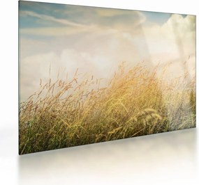 Obraz na szkle - Pole jesienią (70x50 cm)