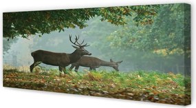 Fotoobraz na płótnie Jeleń w Jesiennym Lesie