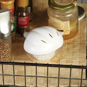 Pojemnik na czosnek Snips Garlic Saver