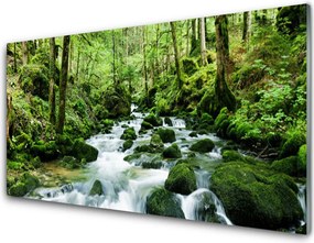 Panel Szklany Szumiący Potok w Gęstwinie Lasu