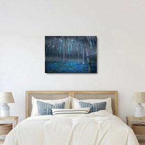 Obraz na szkle - Magiczny las (70x50 cm)