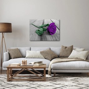 Obraz - Fioletowa róża z zieloną łodygą (70x50 cm)