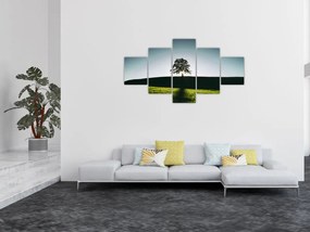 Obraz natury - drzewo (125x70 cm)