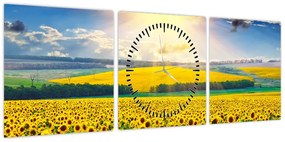 Obraz - Pole słoneczników (z zegarem) (90x30 cm)