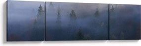 Obraz - Las we mgle, Karpaty, Ukraina (170x50 cm)