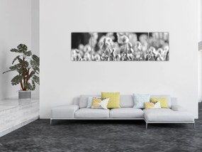 Obraz - Letnia łąka (170x50 cm)