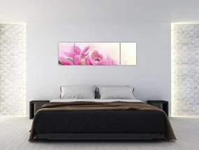Obraz - Różowe kwiaty (170x50 cm)