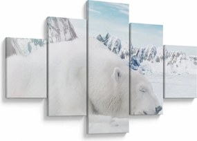 Obraz - Niedźwiedź polarny (125x70 cm)