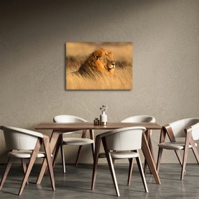 Obraz - Park Narodowy Etosha (70x50 cm)