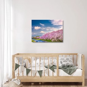 Obraz na szkle - Japoński wiosenny krajobraz (70x50 cm)