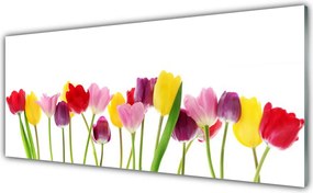 Panel Kuchenny Wiosenna Kompozycja Tulipanów