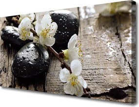 Obraz canvas Kwitnąca Gałązka Jabłoni