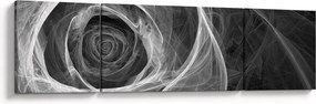 Obraz - Abstrakcyjna róża czarno-biała (170x50 cm)