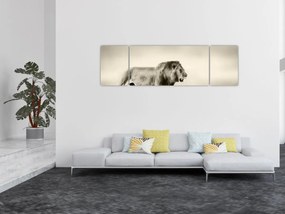 Obraz - Głodny lew (170x50 cm)