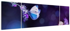 Obraz - Motyle na lawendie (170x50 cm)