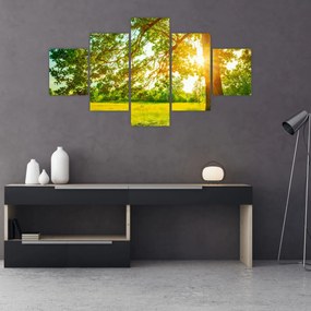 Obraz - Słoneczny Las (125x70 cm)
