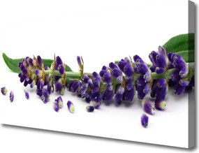 Obraz canvas Rustykalny Bukiet Lawendy