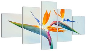 Obraz kwiatu Strelicji (125x70 cm)