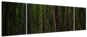 Obraz - Wśród bambusów (170x50 cm)