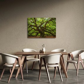 Obraz - Zielone drzewo (70x50 cm)