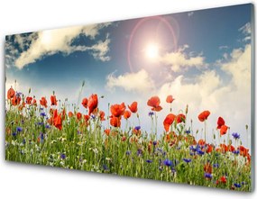Panel Szklany Letnia Łąka w Blasku Dnia