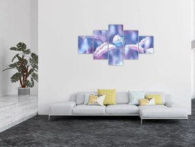 Obraz - Motyle zimą (125x70 cm)