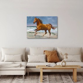 Obraz konia na plaży (70x50 cm)