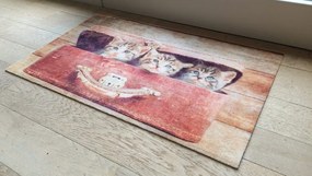 Wycieraczka Deco Star Kociaki 40 cm x 60 cm