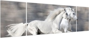Obraz - Białe konie zimą (170x50 cm)