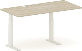 Biurko FUTURE z regulacją wysokości, 170x80 cm, 2 silniki, biała podstawa, dąb naturalny