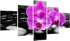 Obraz - Fioletowe orchidee (125x70 cm)