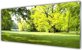 Panel Szklany Parkowa Aleja w Słońcu
