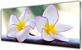 Panel Szklany Egzotyczny Kwiat Plumerii