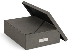 Kartonowe organizery na dokumenty zestaw 5 szt. Holger – Bigso Box of Sweden