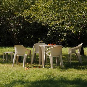 Plastikowe krzesło do ogrodu Premo Seven z podłokietnikami