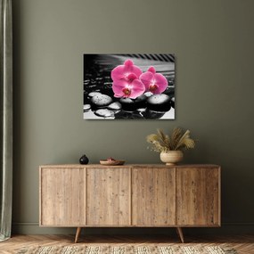 Obraz na szkle - Różowe orchidee (70x50 cm)