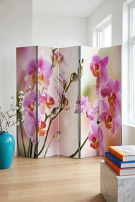 Wewnętrzny parawan z dustronnym nadrukiem P9-W39