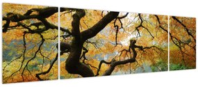 Obraz żółtego klonu japońskiego, Portland, Oregon (170x50 cm)